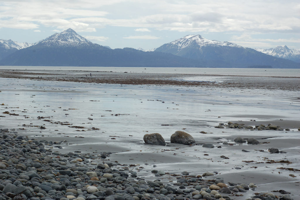 Kachemak Bay: Where Alaskan Wilderness Meets Coastal Charm