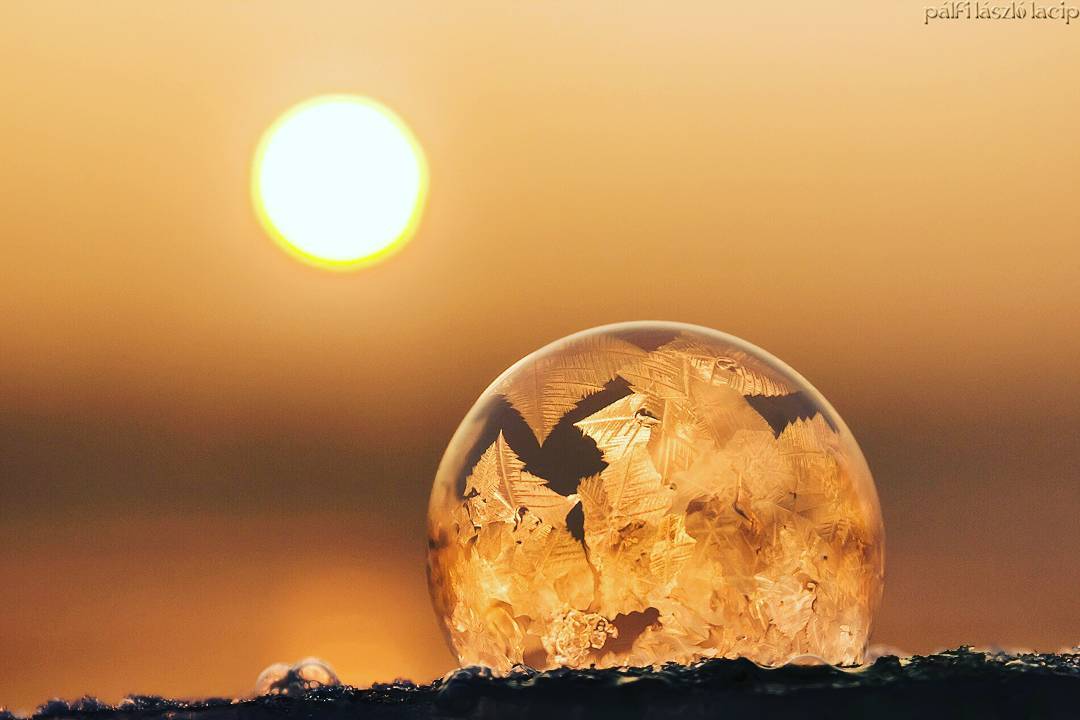 Frozen Bubble Photography