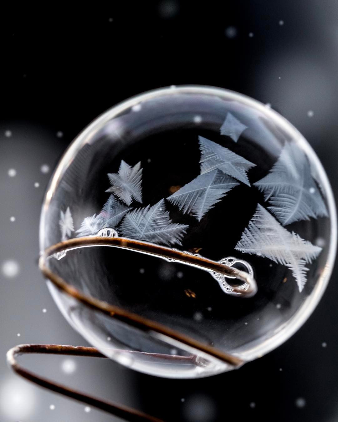 Frozen Bubble Photography