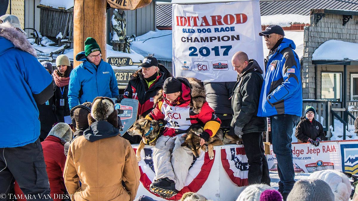 Iditarod Champion Mitch Seavey in Nome