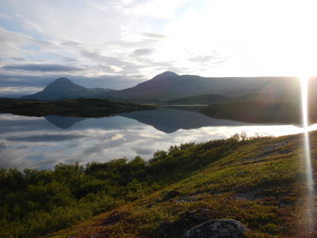 Nelchina Caribou Alaska Views Hunting