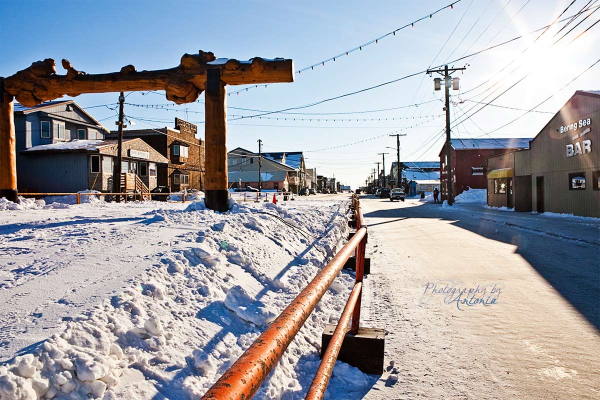 Experiencing the Iditarod in Nome