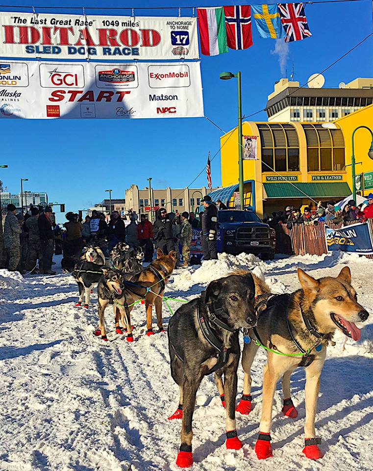 Non Stop 2017 start Iditarod Food Drop