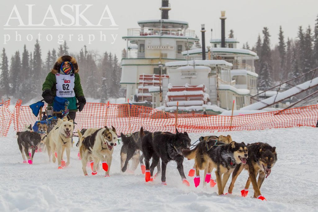 Nenana Ice The Alaska Life Iditarod 2015 Day 2 Updates 