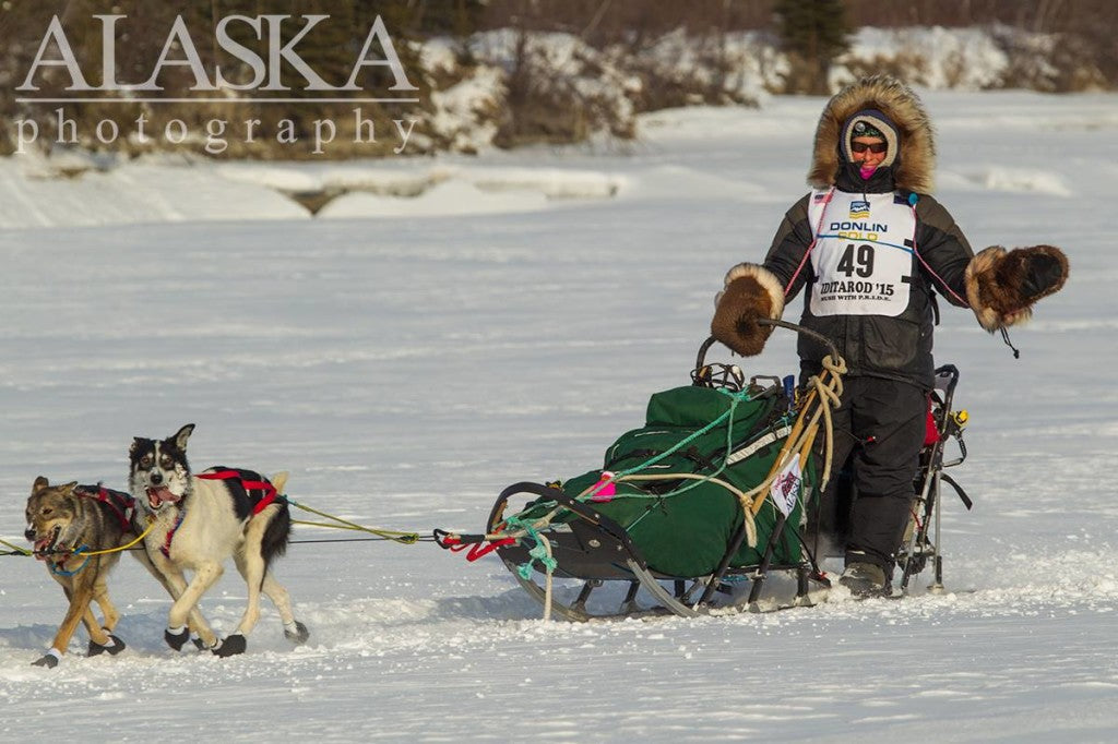 Dog Nenana RiverThe Alaska Life Iditarod 2015 Day 2 Updates 