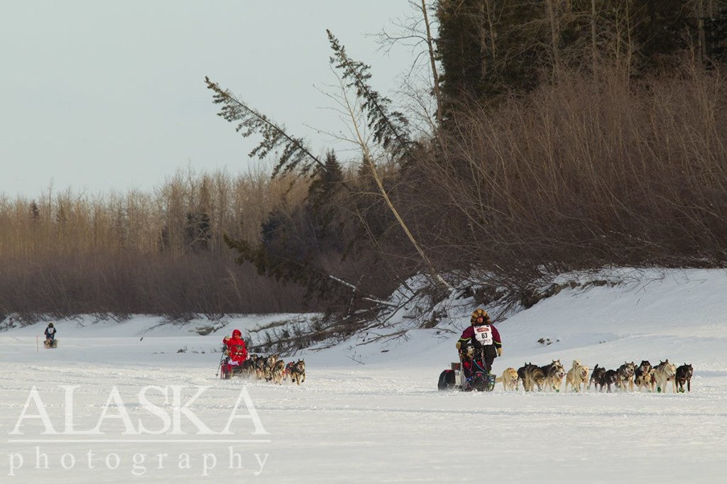 Racers Nenana River The Alaska Life Iditarod 2015 Day 2 Updates 