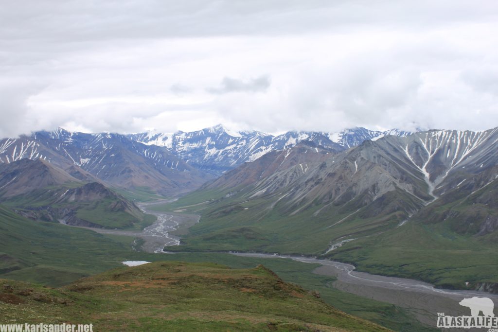 Teklanika River