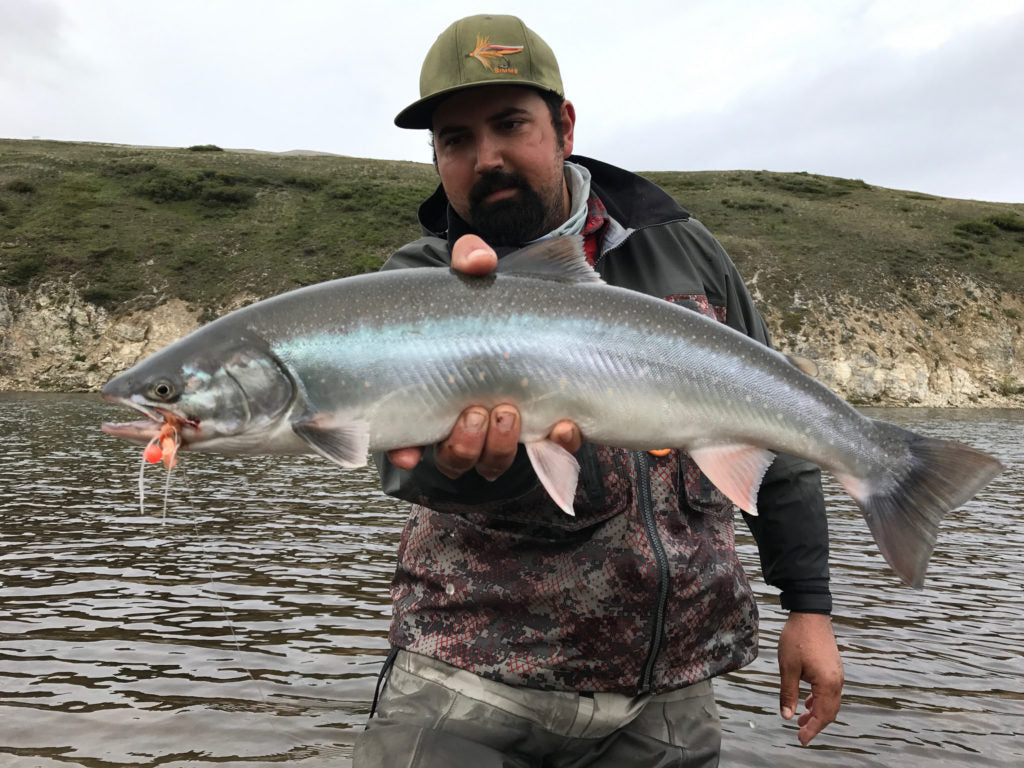 Wulik River Dolly Varden on the Fly