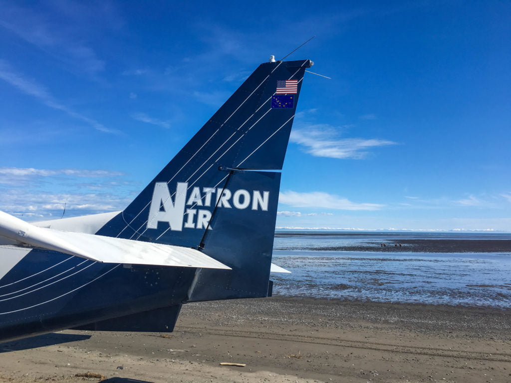 lake clark bear viewing Natron Air