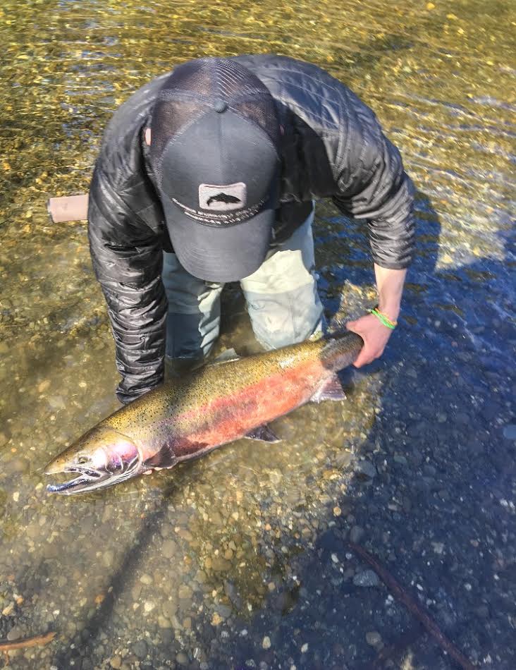 Situk River Fly Fishing For Spectacular Spring Steelhead - Yakutat, Al –  The Alaska Life