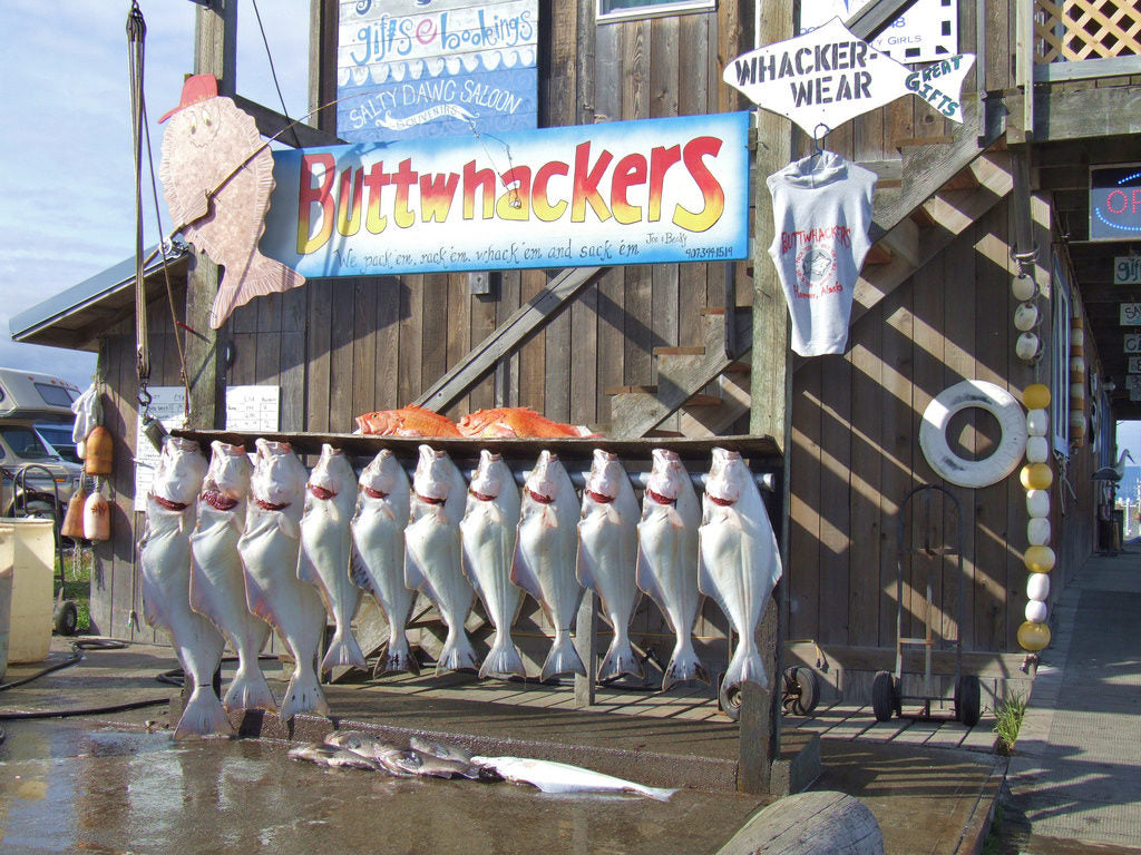 halibut homer alaska 