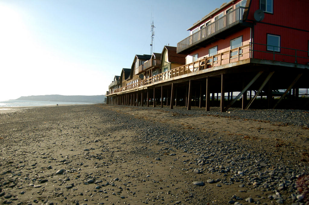 homer spit alaska