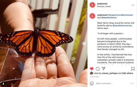 Paradise monarchs featured on Yelp Hawaii Instagram page