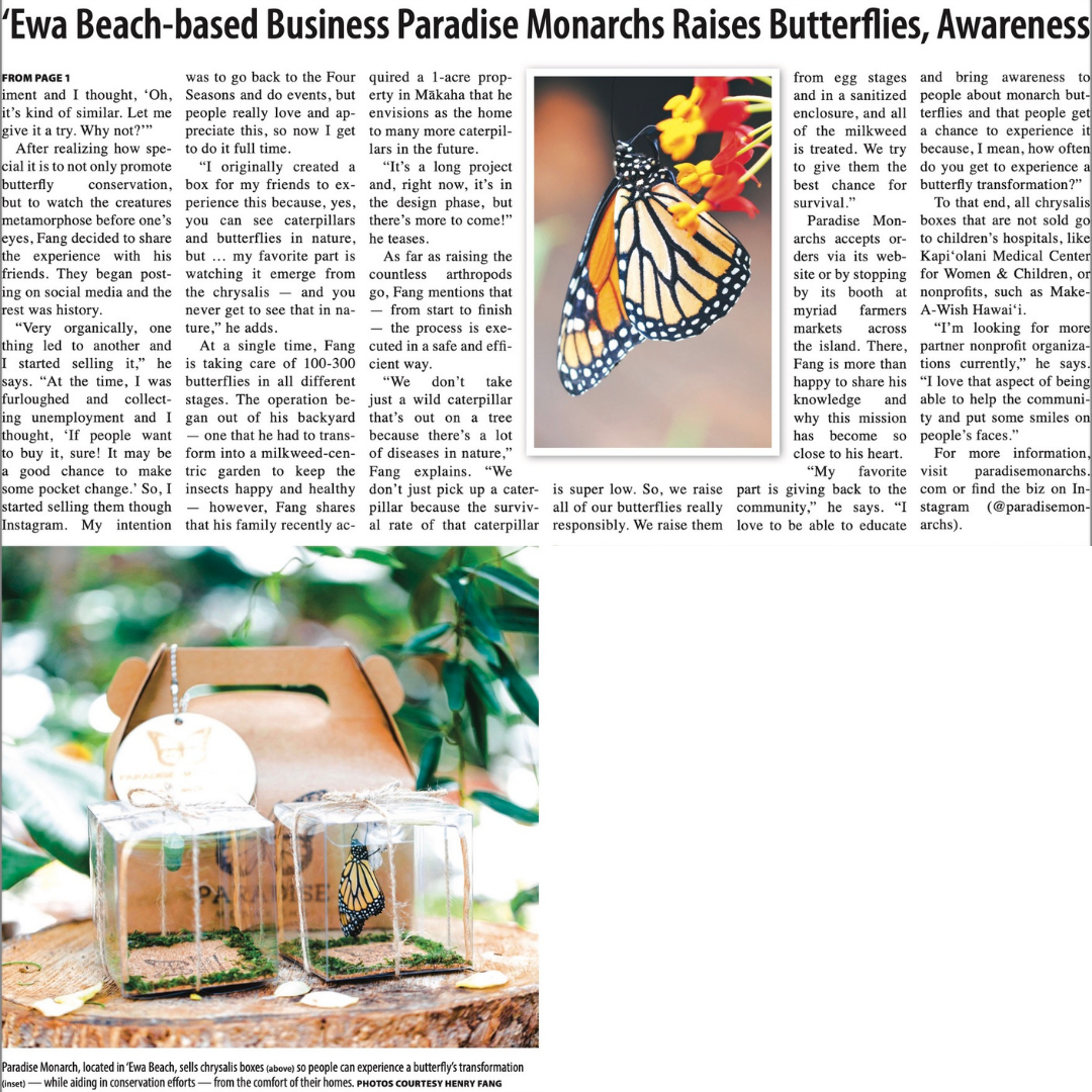 newspaper paper feature inside Voice West O'ahu community news