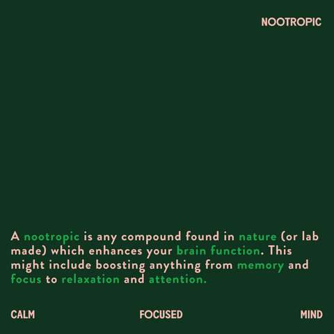 what are nootropics infographic