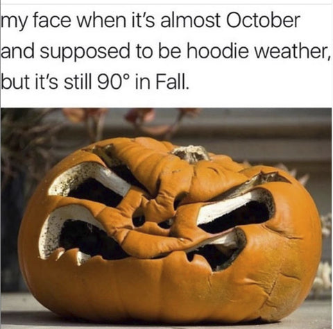 Its too hot for fall meme