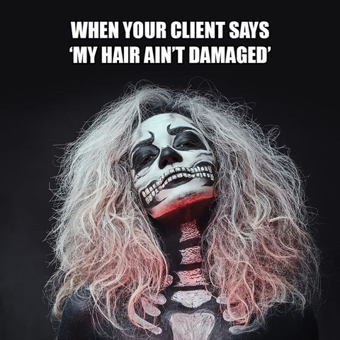 when your client says my hair aint that damaged - meme