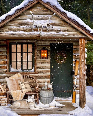 Cabin covered in snow