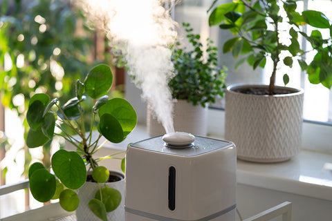 get yourself a good humidifier