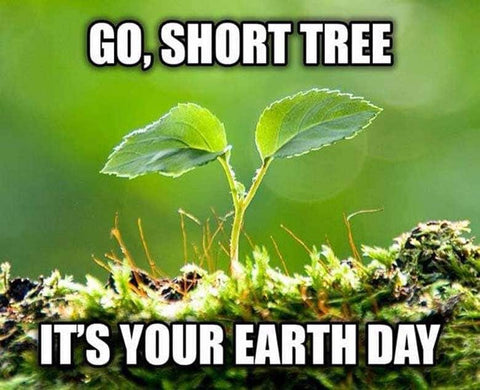Image of a meme of a small tree that is growing. It reads 