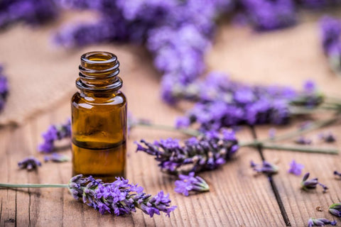 Image of a small jar of lavender essential oil