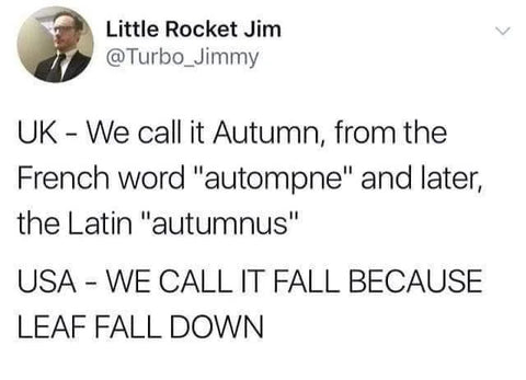 UK: We call it autumn from the Latin word autumnus US: WE CALL IT FALL BECAUSE LEAVES FALL DOWN