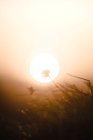 Image of a setting sun