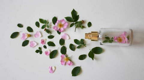 Image of a fragrance bottle full of flower petals and leaves. 