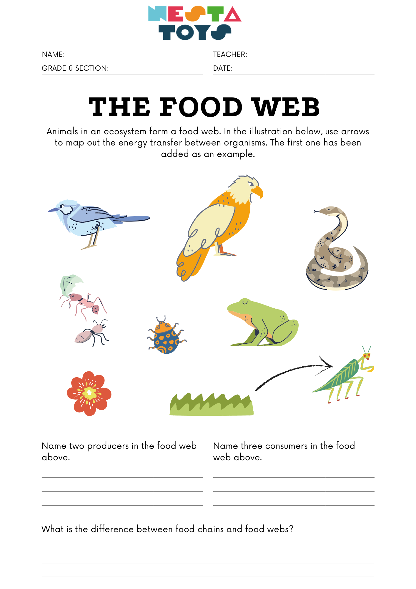 The food web