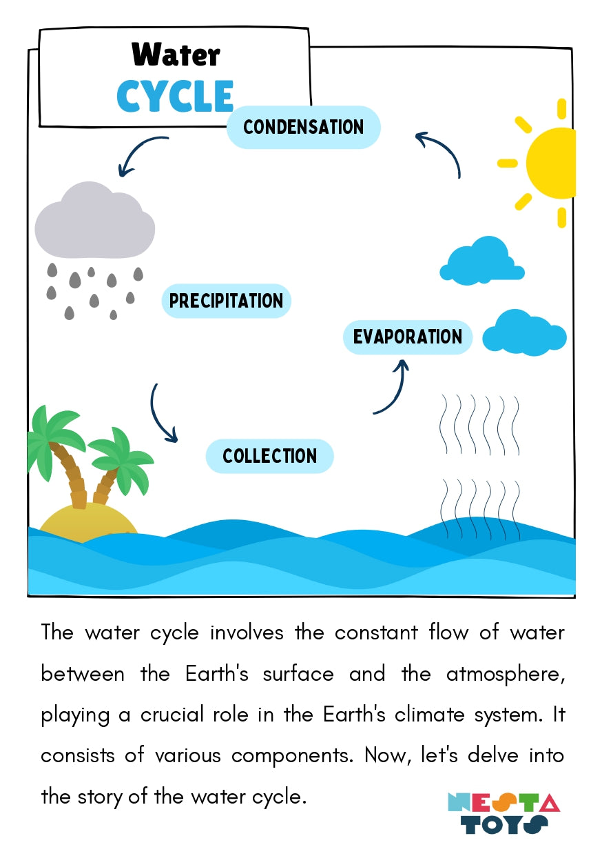 Water Cycle Puzzle - instruction Manual