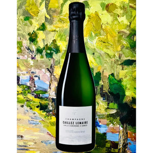 Caillez Lemaire Reflets Extra Brut Champagne - IN VINO & SPIRITS