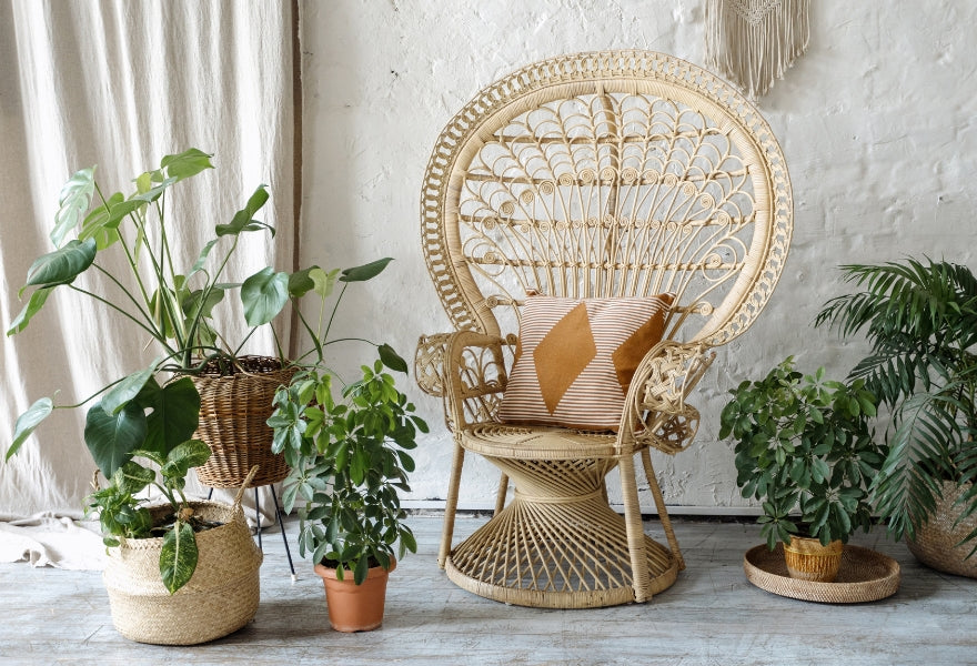 boho-chic-how-to-achieve-the-bohemian-look-in-your-home-use-plants