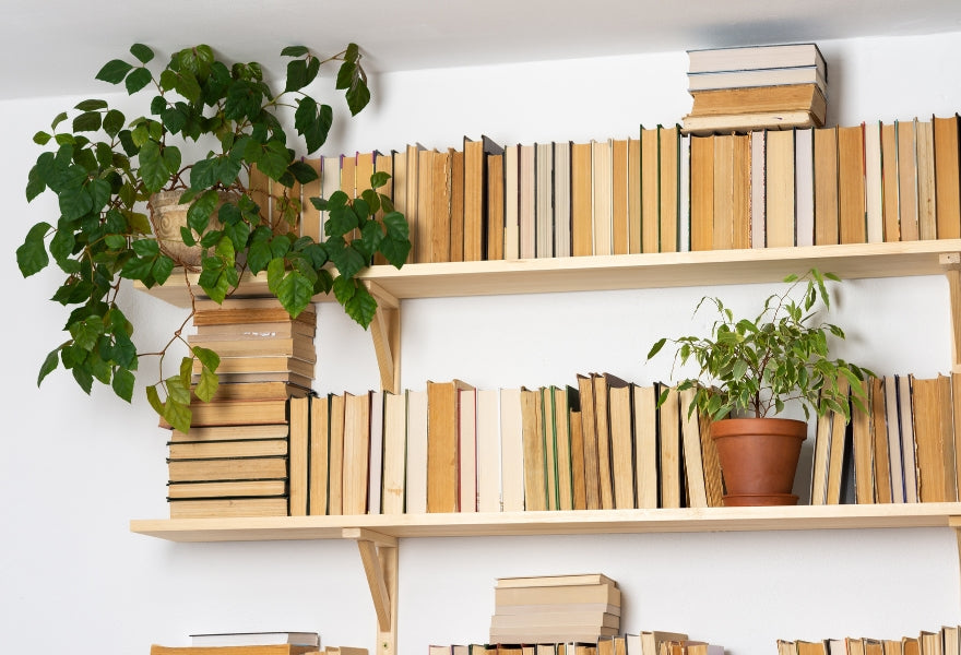 from-ordinary-to-extraordinary-simple-upgrades-for-your-home-bookshelves