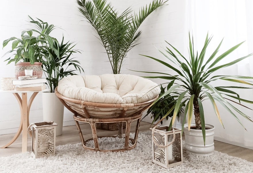 from-ordinary-to-extraordinary-simple-upgrades-for-your-home-greenery