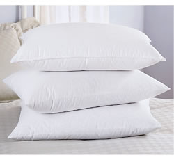 https://cdn.shopify.com/s/files/1/0532/8673/1952/collections/down-alternative-pillows-14_dd0d2ca8-14cd-4da6-bbf8-49c1678b2348.jpg?v=1622101601