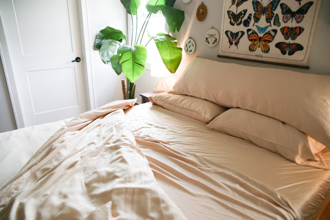 Pillowtex Pillows, Blankets, Bedding, Plushies, More - Pillows.com