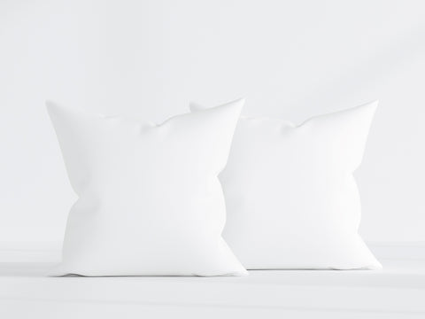 .com: Throw Pillow Insert,Edow set of 2 Hypoallergenic Down