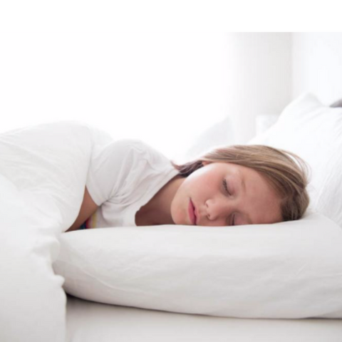 Reduced Price in Bed Pillows