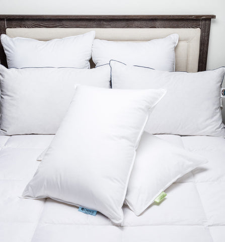 Embassy suites pillows for clearance sale