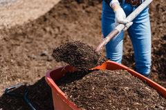 Composting soil being dug into a bucket with a spade