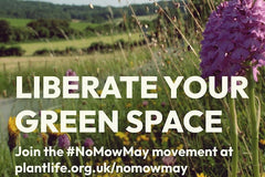 Text "Liberate your green space" over an image of field and wildflowers