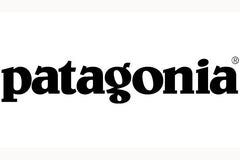 Patagonia Clothing Brand logo