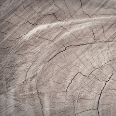 Wooden Surface