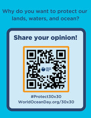 World Ocean Day QR code