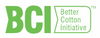 BCI logo