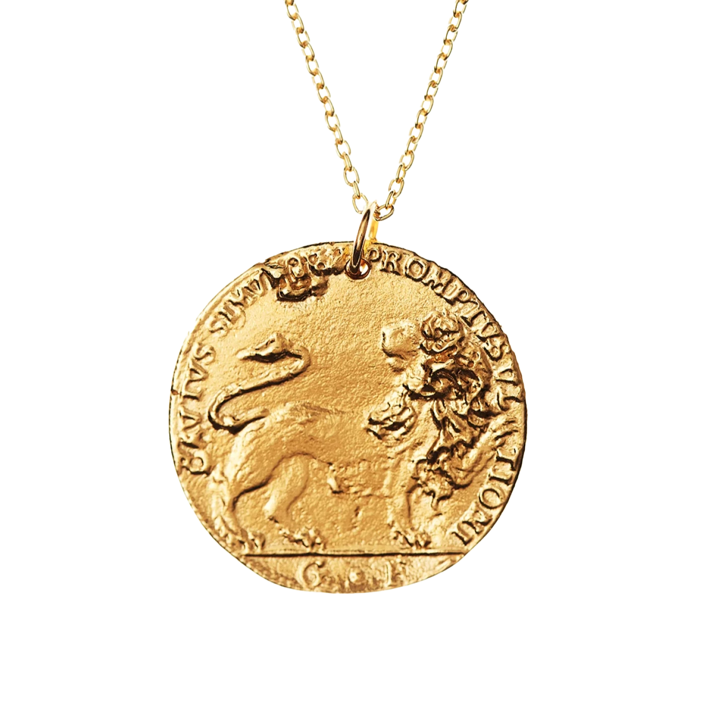 Il leone hot sale medallion