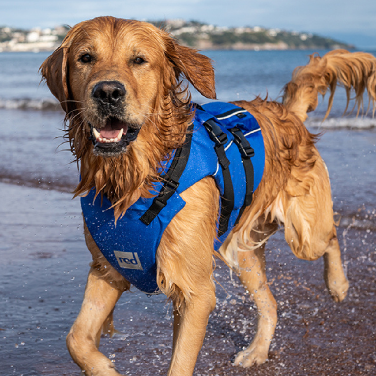 Pursuit Buoyancy Aid