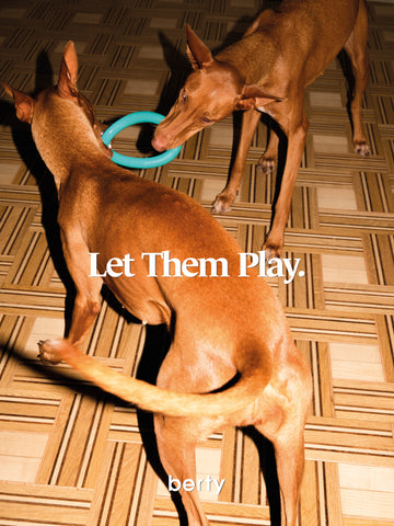 Let them Play - Let Dogs Be Dogs