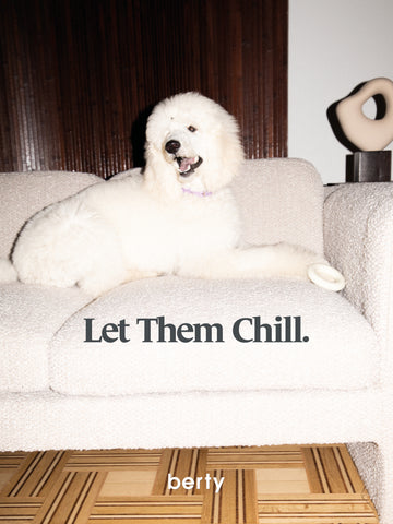 Let them chill - let dogs be dogs