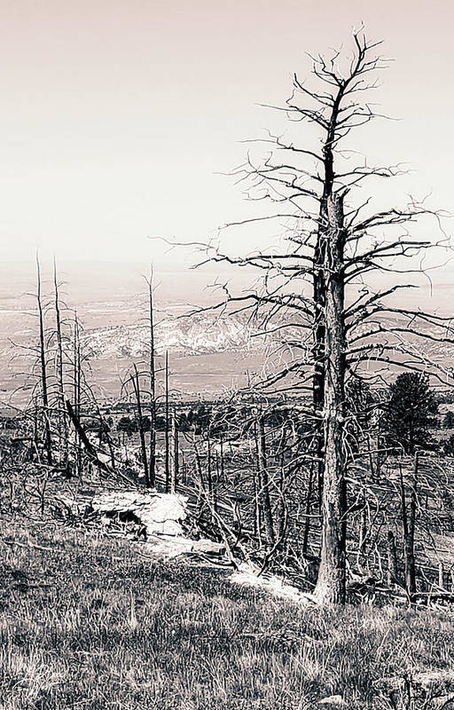 Remnants of A Fire - Art Print